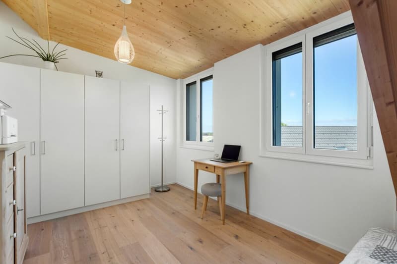 Spacious and modern attic apartment (8)