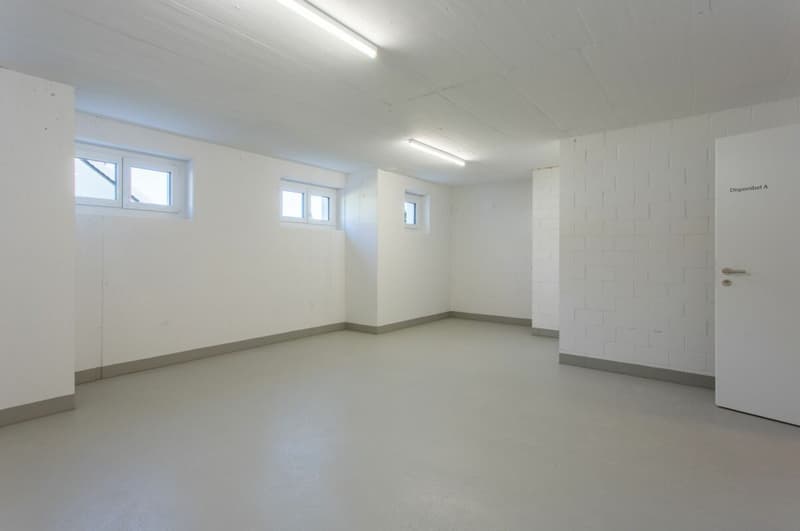 Spacious and modern attic apartment (13)