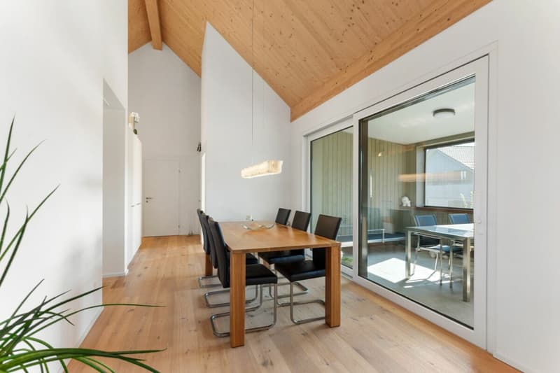 Spacious and modern attic apartment (4)