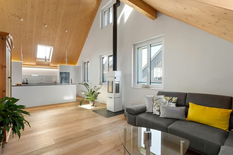 Spacious and modern attic apartment (3)