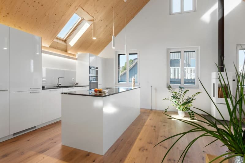 Spacious and modern attic apartment (1)