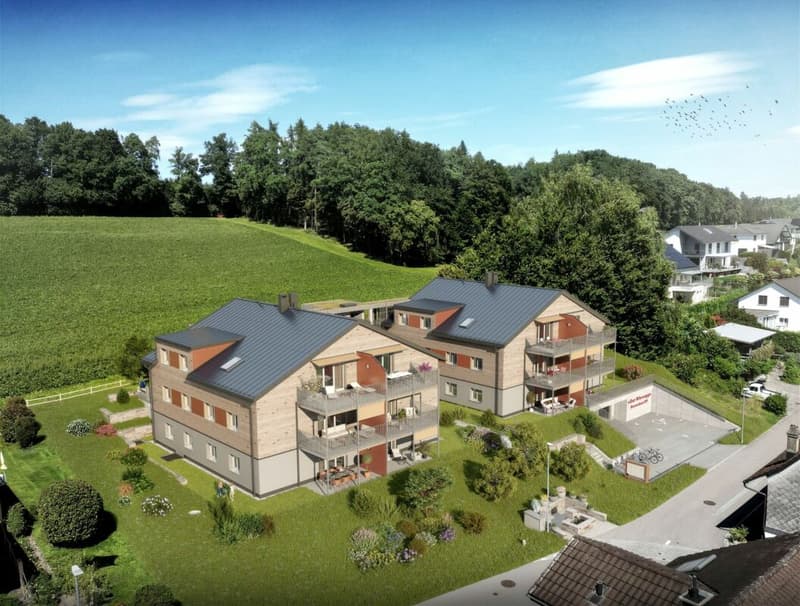 Construction neuve élégante et durable dans un emplacement ensoleillé (3)