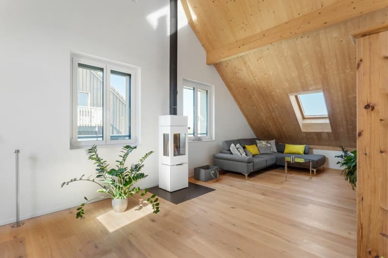 Grosszügige und moderne Dachgeschosswohnung (2)