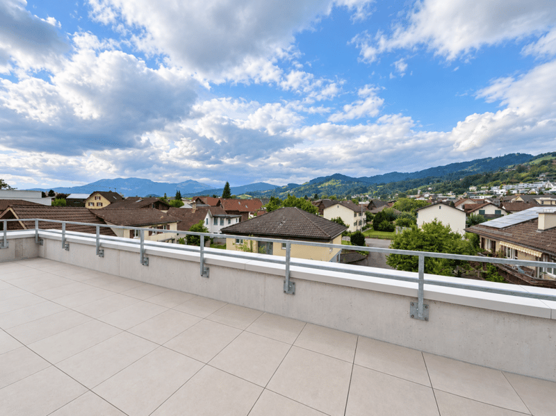 Äusserst hochwertige Attikawohnung mit riesiger Terrasse und wunderschöner Weitsicht (6)