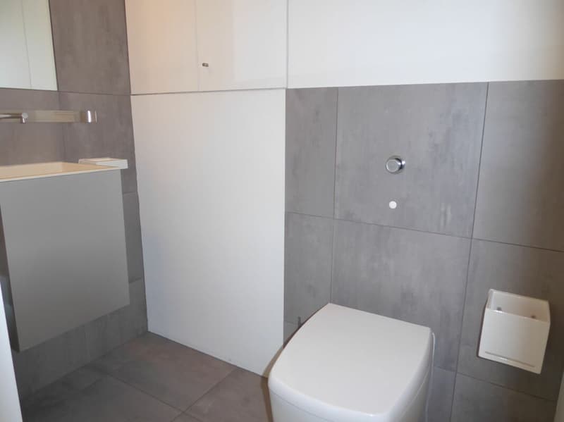 4-bedroom maisonette apartment with two underground parking spaces (16)