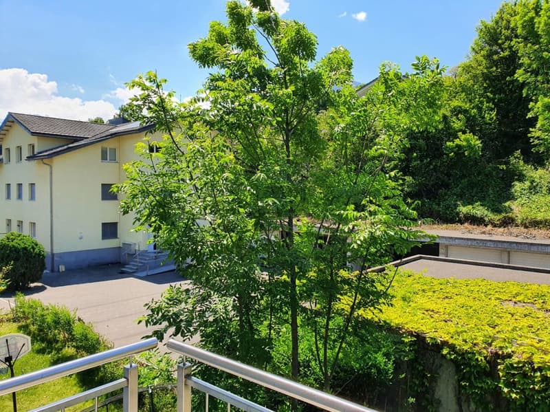 Bella maisonetta di 3 locali (13)