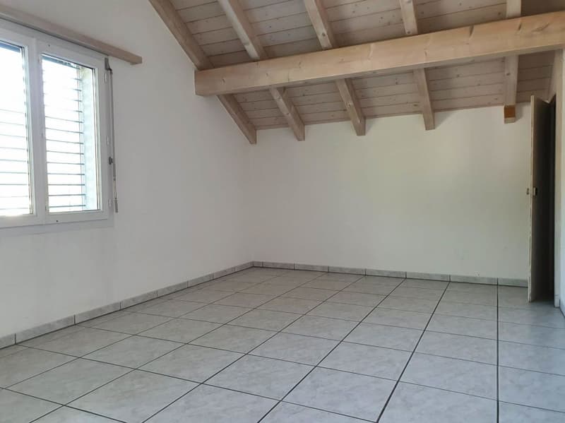 Bella maisonetta di 3 locali (10)