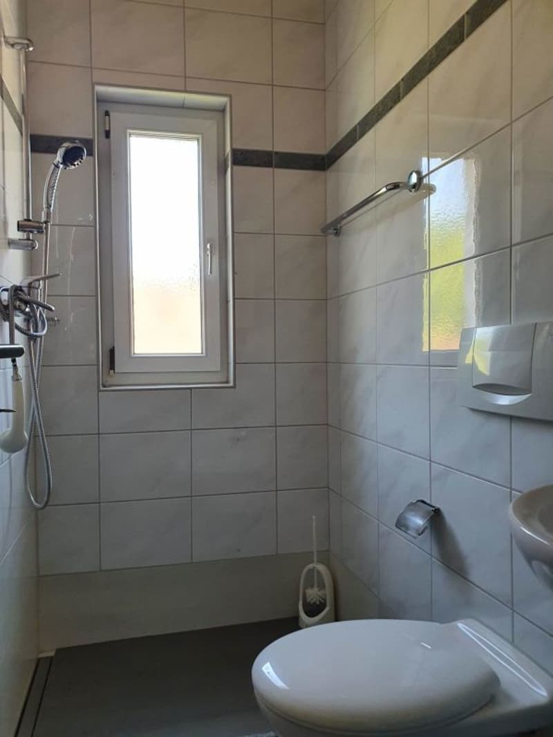 Bella maisonetta di 3 locali (11)