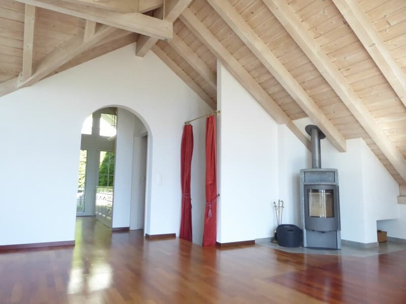 Detached 5 1/2-room single-family house with attractive distant view (2)