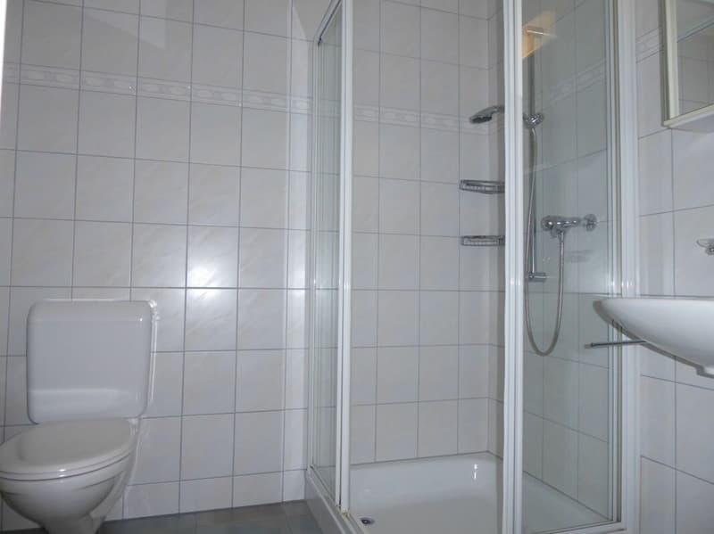 Detached 5 1/2-room single-family house with attractive distant view (15)