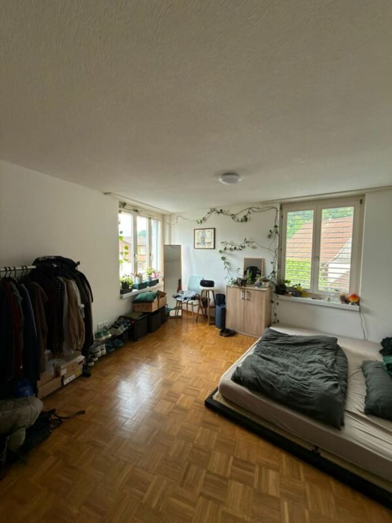 Spacious 4.5-room apartment with balcony in the center of Vilters (6)