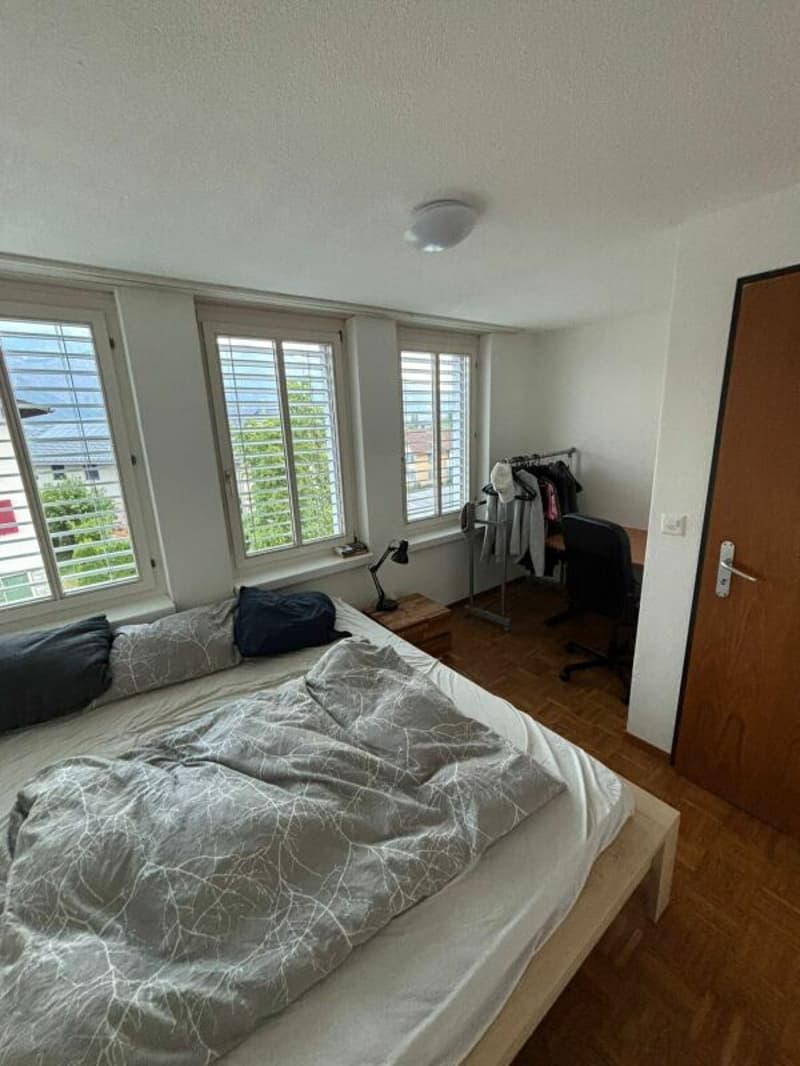 Spacious 4.5-room apartment with balcony in the center of Vilters (7)