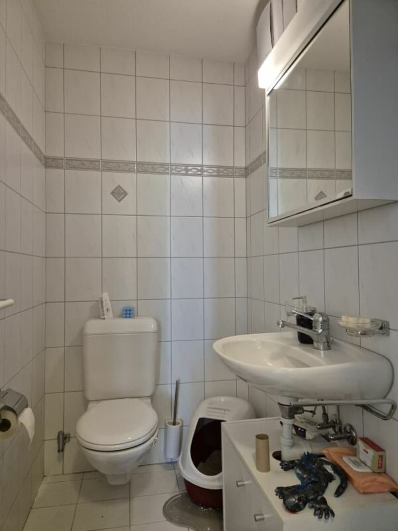 separates WC