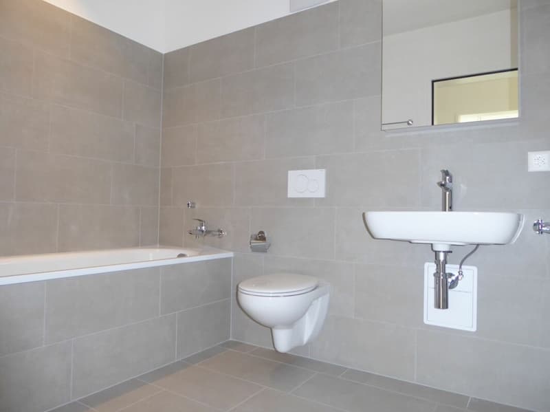 4 1/2-pièces appartement - Projet de construction neuve "Rheincity" (12)