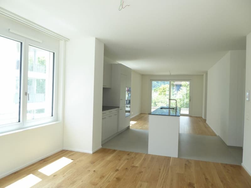 4 1/2-pièces appartement - Projet de construction neuve "Rheincity" (6)