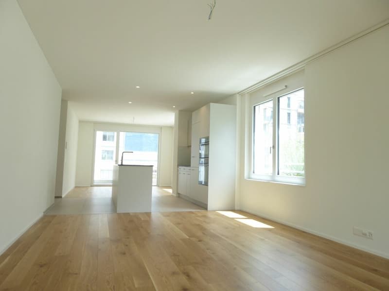 4 1/2-pièces appartement - Projet de construction neuve "Rheincity" (5)