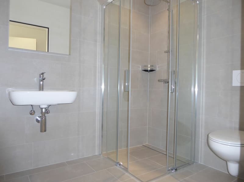 4 1/2-pièces appartement - Projet de construction neuve "Rheincity" (11)