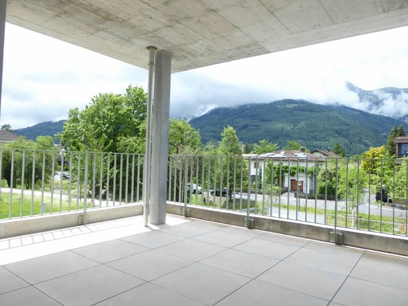 4 1/2-pièces appartement - Projet de construction neuve "Rheincity" (4)