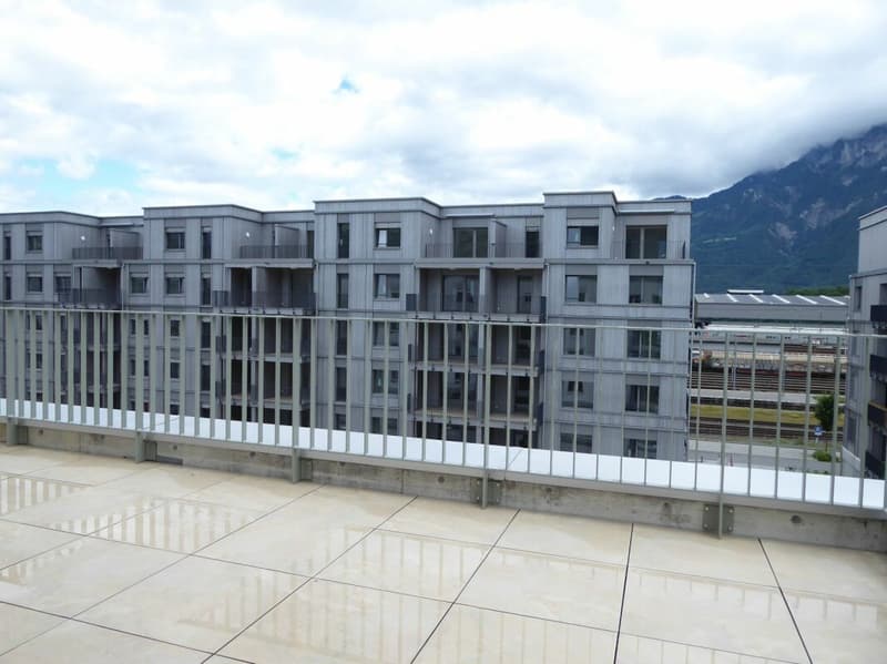Appartement 4 1/2 pièces - Projet de construction neuve "Rheincity" (7)