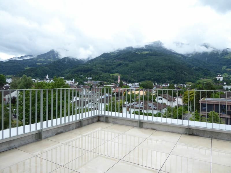 Appartement 4 1/2 pièces - Projet de construction neuve "Rheincity" (12)