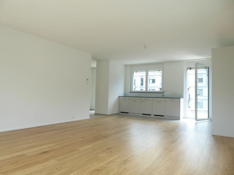 Appartement 4 1/2 pièces - Projet de construction neuve "Rheincity" (3)