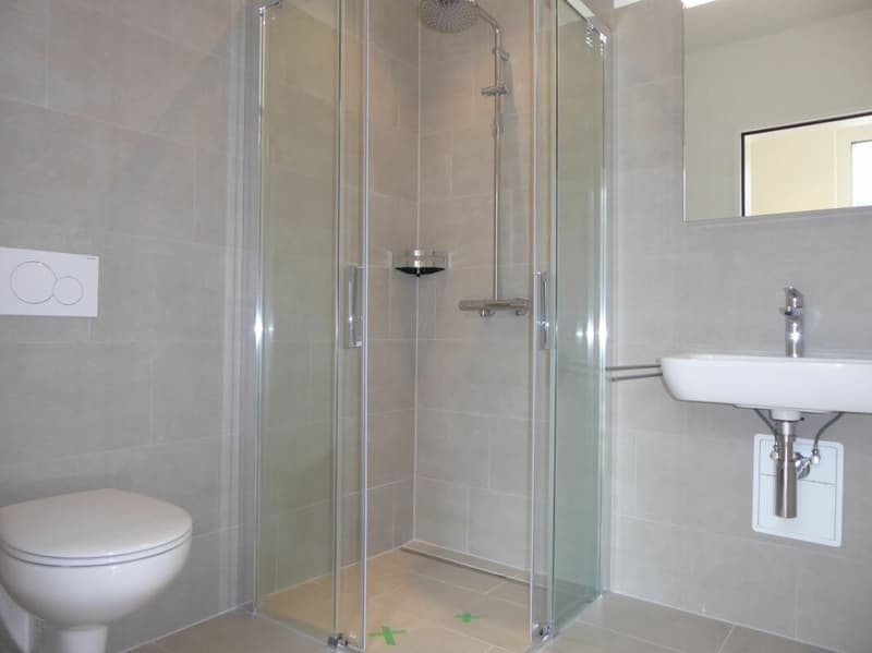 Appartement 4 1/2 pièces - Projet de construction neuve "Rheincity" (9)