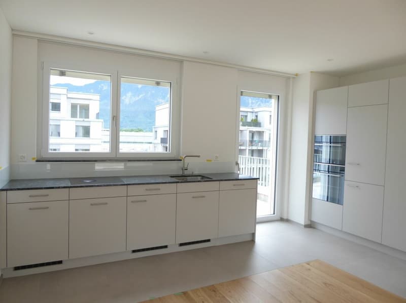 Appartement 4 1/2 pièces - Projet de construction neuve "Rheincity" (2)