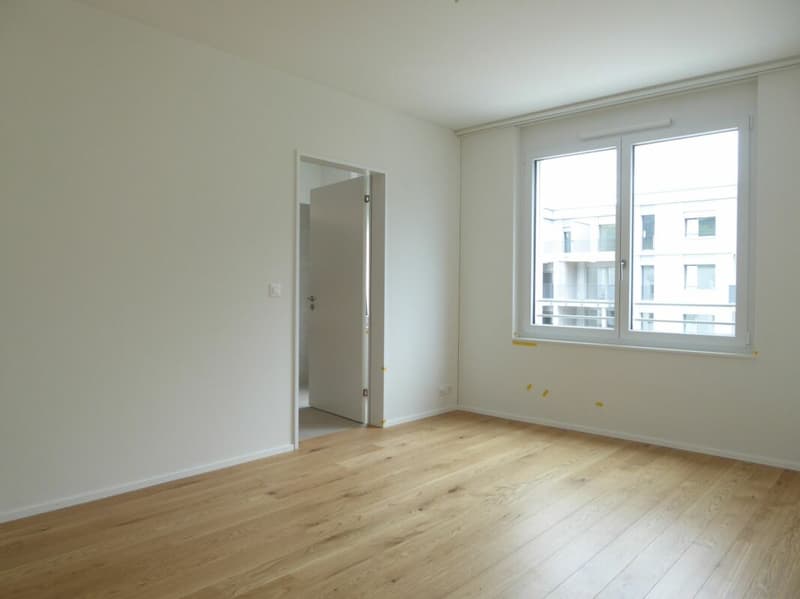 Appartement 4 1/2 pièces - Projet de construction neuve "Rheincity" (6)