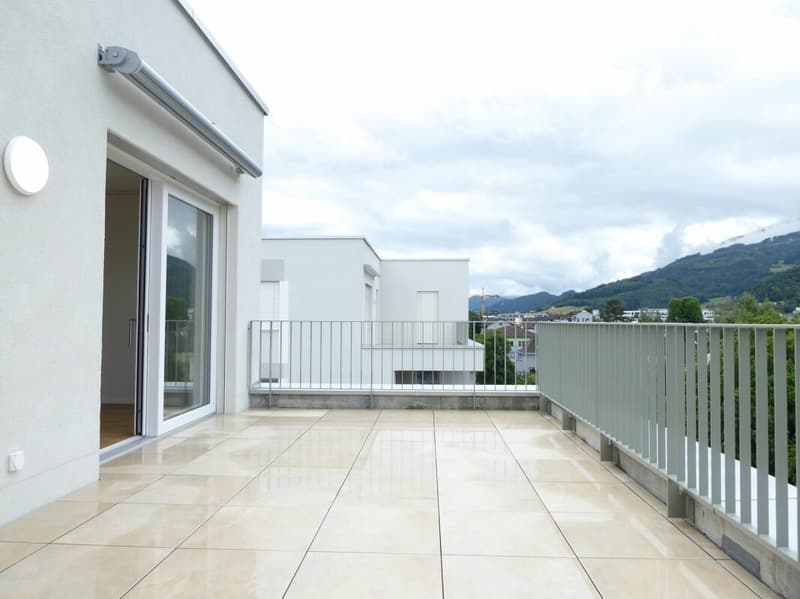 Appartement 4 1/2 pièces - Projet de construction neuve "Rheincity" (8)