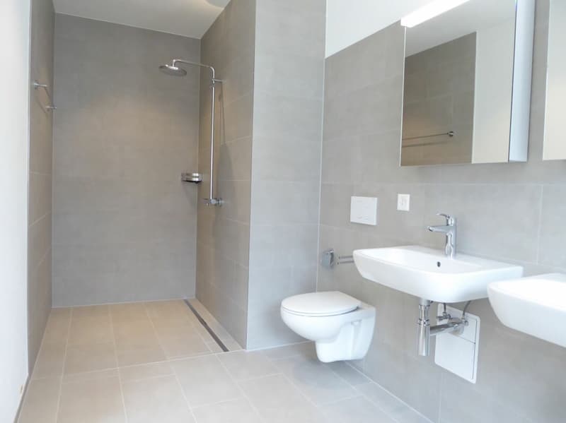 Appartement 4 1/2 pièces - Projet de construction neuve "Rheincity" (10)