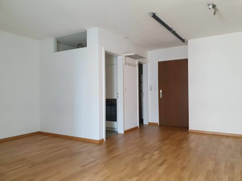 Appartement 1.5 pièces (1)