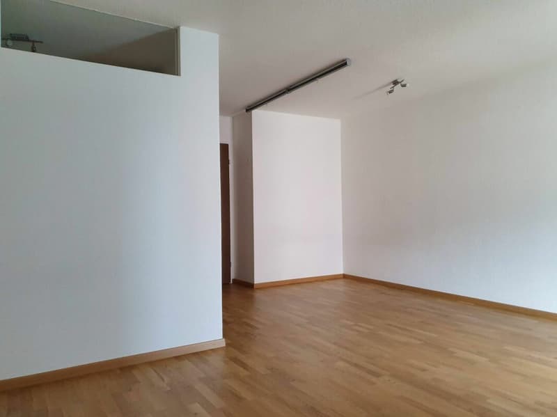 Appartement 1.5 pièces (2)