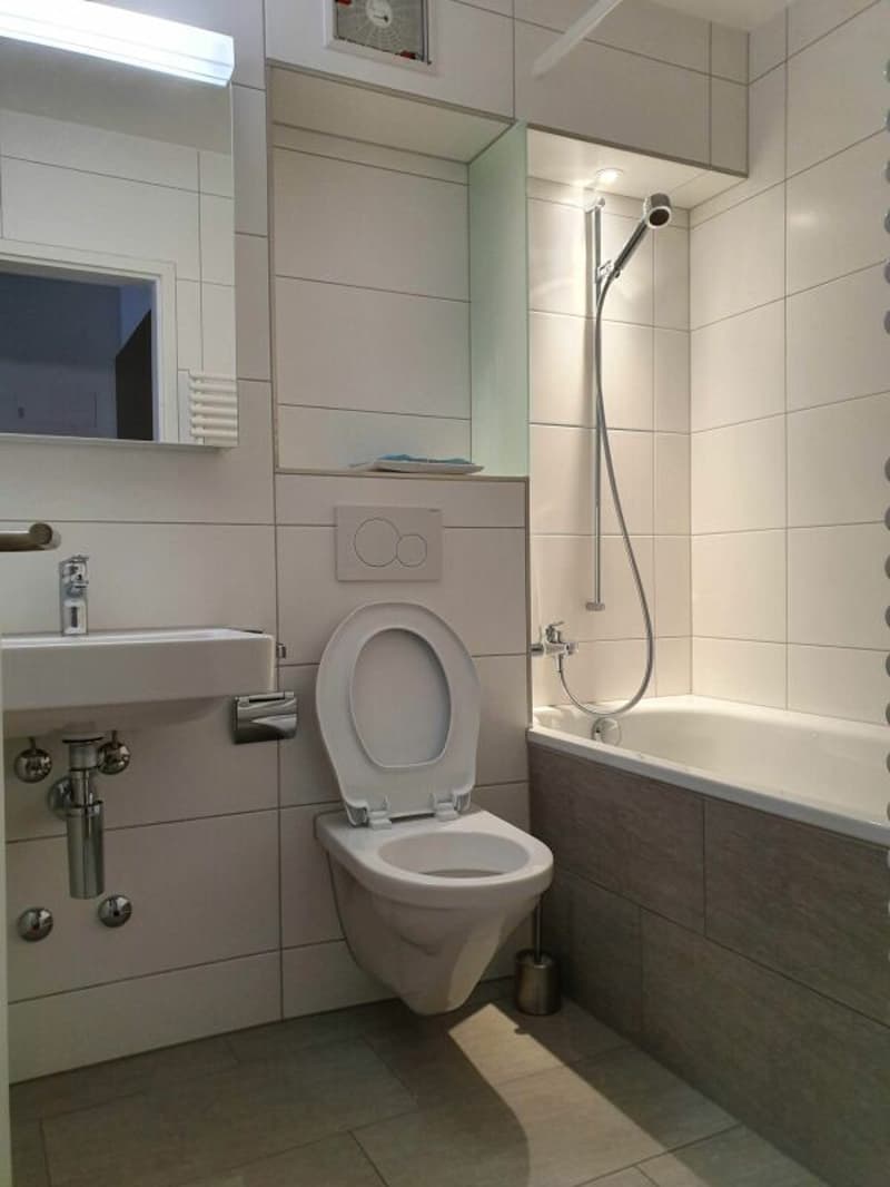 Appartement 1.5 pièces (5)