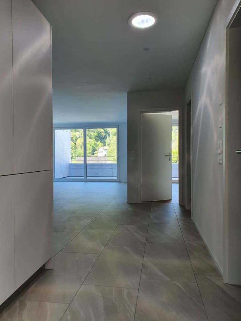 New 2 1/2-room attic apartment in a sunny location (5)