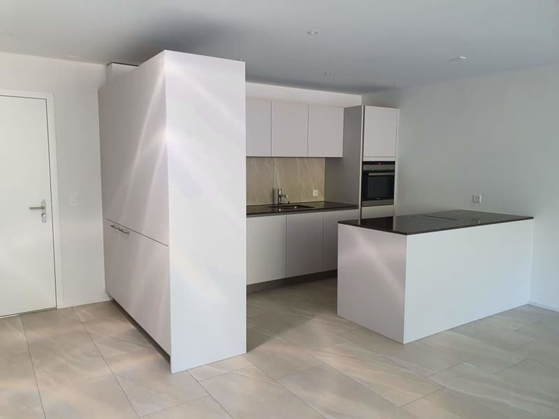 New 2 1/2-room attic apartment in a sunny location (2)
