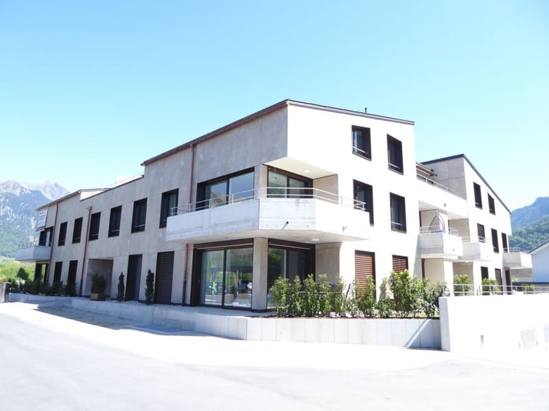 New 2 1/2-room attic apartment in a sunny location (1)