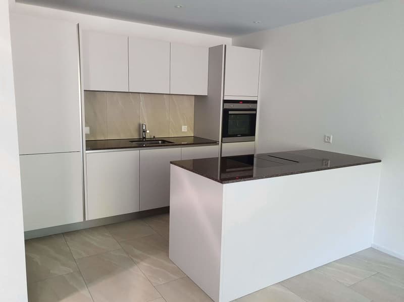 New 2 1/2-room attic apartment in a sunny location (4)