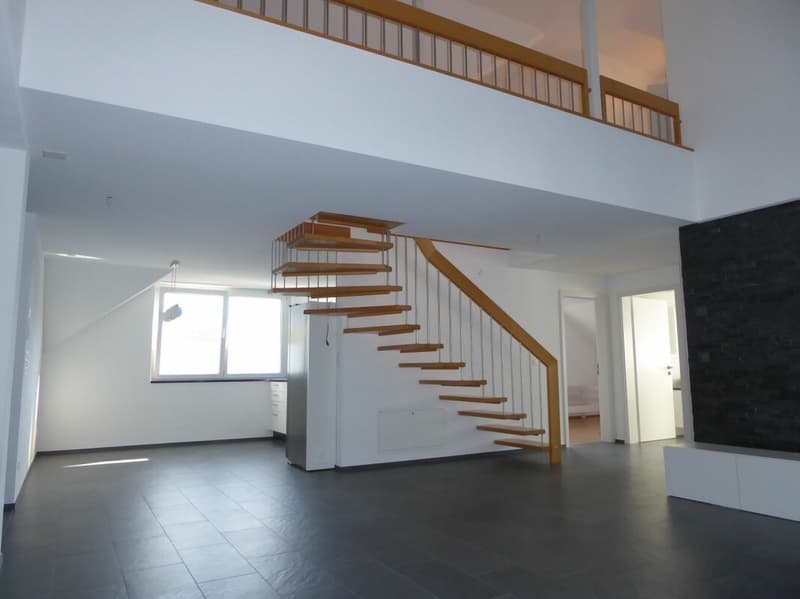 familienfreundliche und grosszügige 6-Zimmer-Maisonette-Wohnung (1)