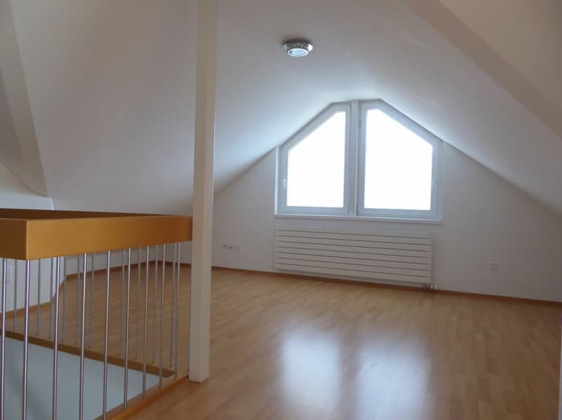 familienfreundliche und grosszügige 6-Zimmer-Maisonette-Wohnung (18)