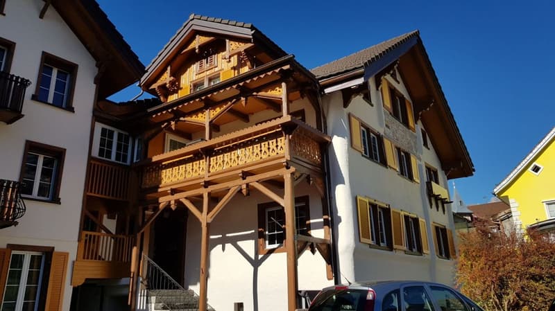 neuwertige, möblierte 2-Zimmerwohnung an zentraler Lage (1)