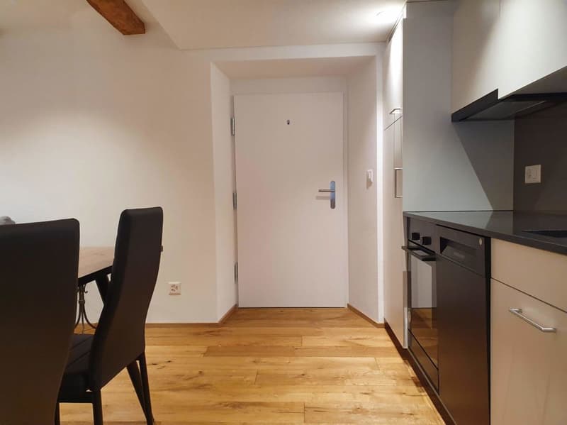 neuwertige, möblierte 2-Zimmerwohnung an zentraler Lage (4)