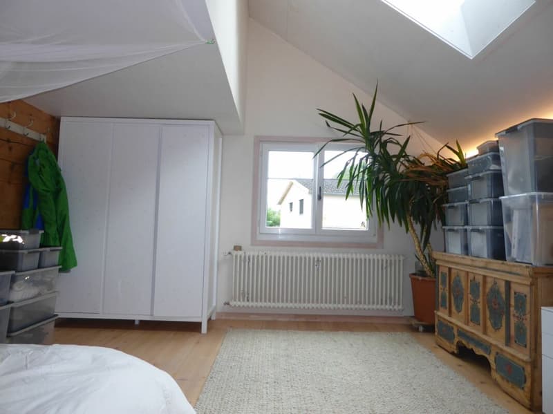 5-Zimmer-Einfamilienhaus mit angebautem Schopf und grosszügigem Umschwung (14)