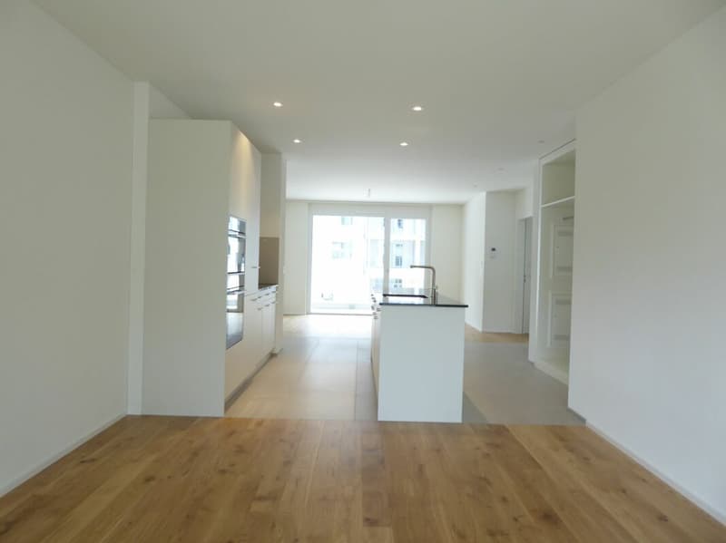 3 1/2-Zimmer-Wohnung - Neubauprojekt "Rheincity" (3)