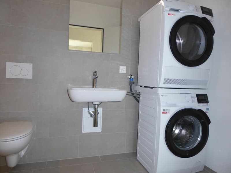 4 1/2-Zimmer-Wohnung - Neubauprojekt "Rheincity" (10)