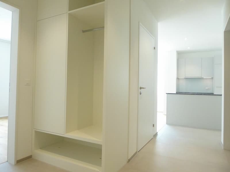 4 1/2-Zimmer-Wohnung - Neubauprojekt "Rheincity" (13)