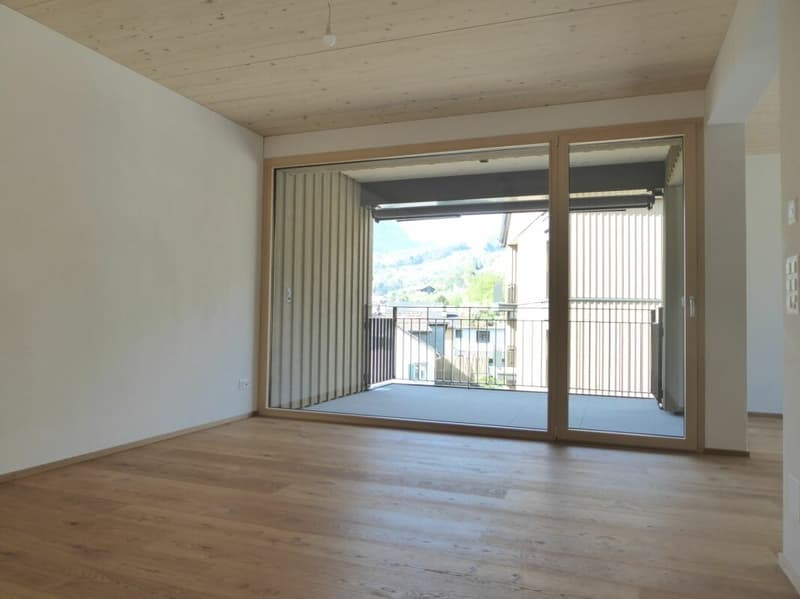 neuwertige 2.5-Zimmer-Wohnung an sonniger Lage (2)