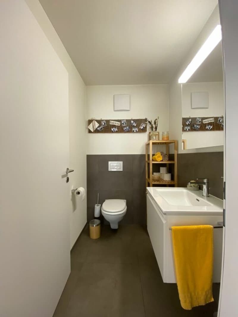 schöne 3.5-Zimmer-Wohnung inmitten von Mels (5)