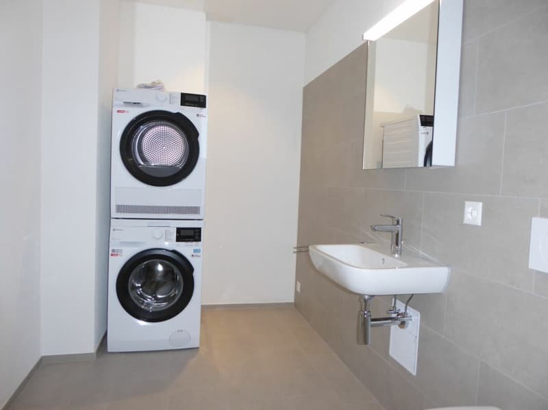 5 1/2-Zimmer-Wohnung - Neubauprojekt "Rheincity" (12)