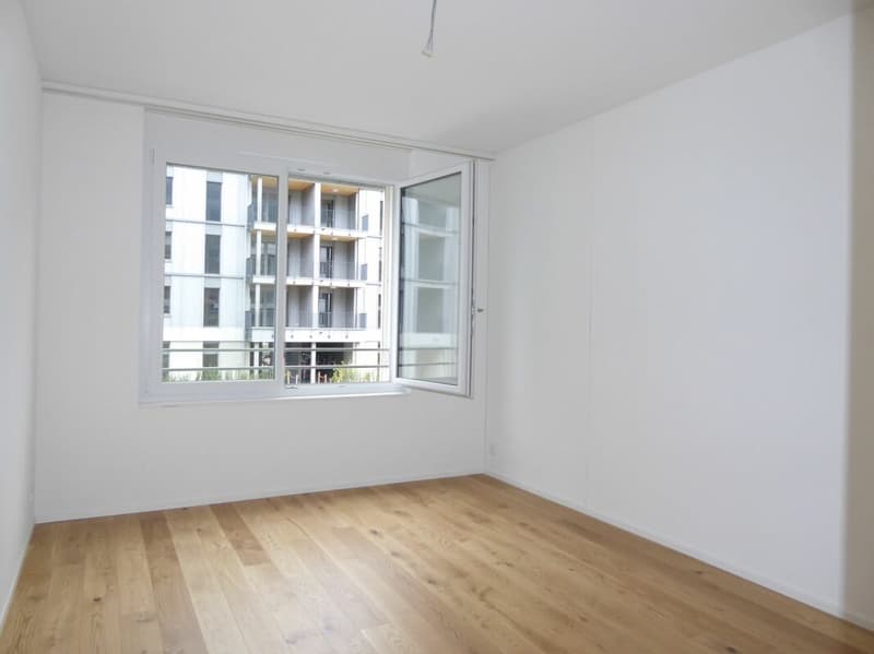 5 1/2-Zimmer-Wohnung - Neubauprojekt "Rheincity" (10)