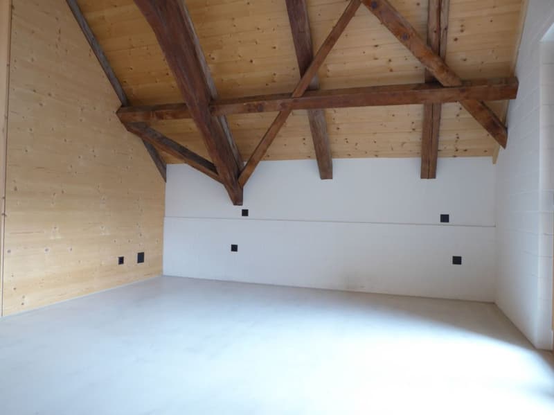 4 1/2-Zimmer-Maisonette-Wohnung (5)